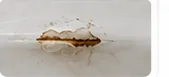 Сколы и ржавчина
